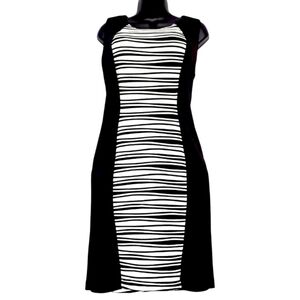 Ashley Stewart Black & White Bodycon Dress - Size 12